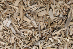 biomass boilers Chettle